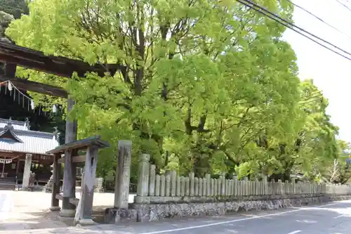 日吉神社の周辺