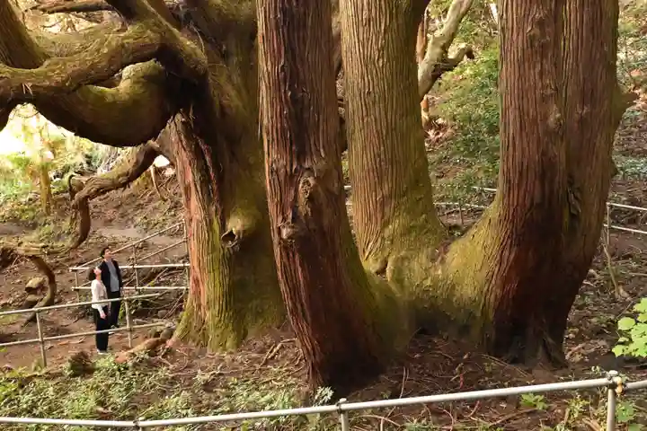 祖母神社(熊本県)