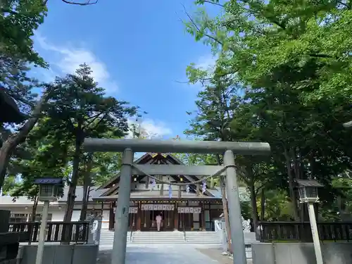 新琴似神社の鳥居