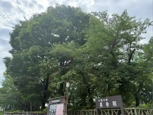 喜多院(埼玉県)