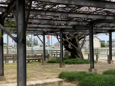 照明寺　(反町薬師尊)(群馬県)