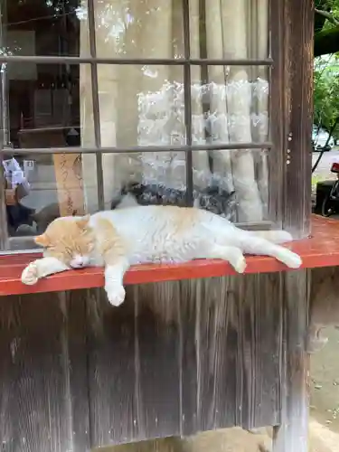 雀神社(茨城県)