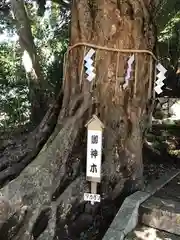 浅間神社(千葉県)