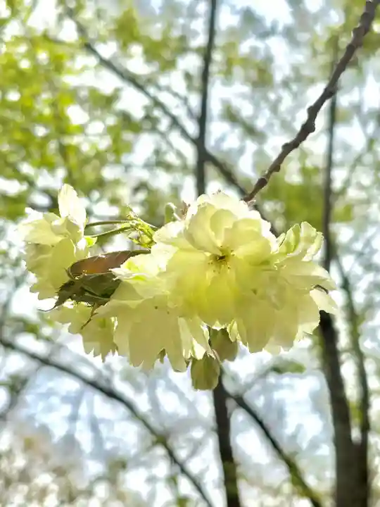 蚊里田八幡宮の{uncategorized: "未分類", other: "その他", undefined: "問題あり", building: "その他建物", grave: "お墓", sacred_gate: "鳥居", guardian: "狛犬", statue: "像", buddha: "仏像", history: "歴史", nature: "自然", garden: "庭園", animal: "動物", pagoda: "塔", temizu: "手水舎", mountain_gate: "山門・神門", sanctuary: "本殿・本堂", subordinate: "末社・摂社", art: "芸術", scenery: "景色", jizo: "地蔵", ema: "絵馬", goshuin: "御朱印", omikuji: "おみくじ", items: "授与品その他", amulet: "お守り", goshuincho: "御朱印帳", eats: "食事", festival: "お祭り", votive_dance: "神楽", shichigosan: "七五三参", wedding: "結婚式", experience: "体験その他", initially: "初詣", around: "周辺", anti_infection: "感染症対策"}