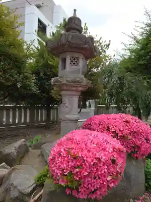 千住神社のその他建物