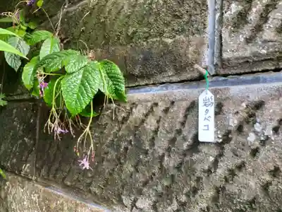 松嶺院(神奈川県)