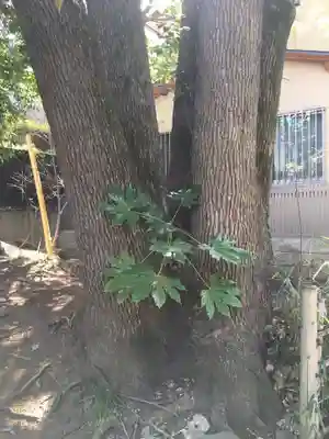 渋谷氷川神社のその他建物