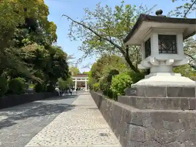 富士山本宮浅間大社(静岡県)