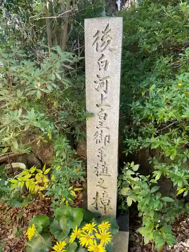 新熊野神社(京都府)