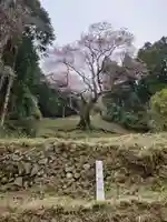 廣實神社(山口県)
