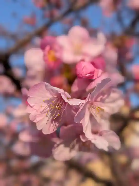 繁榮稲荷神社(東京都)