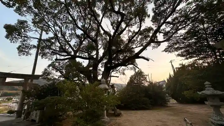 熊野神社(兵庫県)