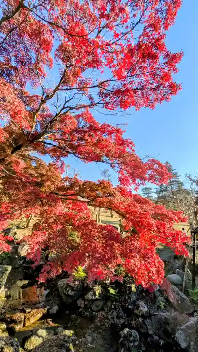 夫婦大國社(春日大社末社)(奈良県)