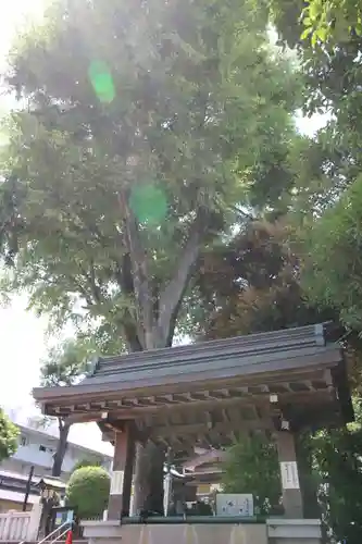 桐ヶ谷氷川神社の手水舎
