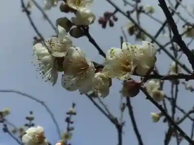 北野天満宮(京都府)