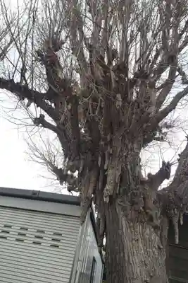 東漸寺(千葉県)