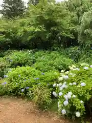 大宝八幡宮の庭園