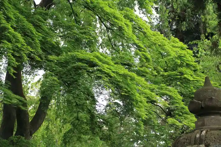 神炊館神社 ⁂奥州須賀川総鎮守⁂の自然