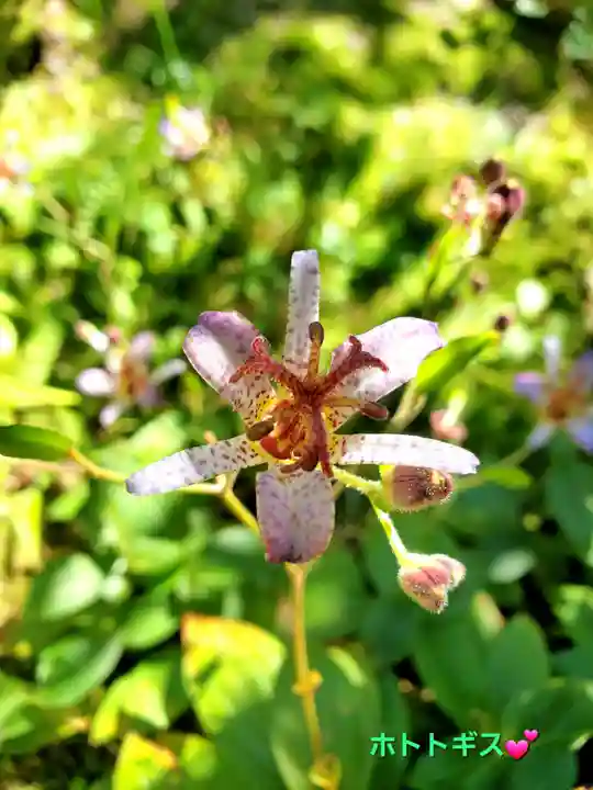 石都々古和気神社(福島県)