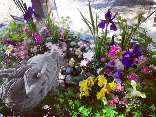 滑川神社 - 仕事と子どもの守り神の手水舎