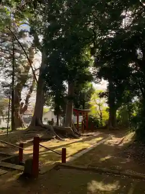 麻賀多神社(千葉県)