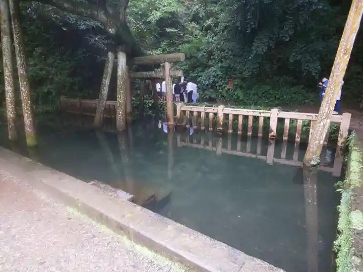 鹿島神宮(茨城県)