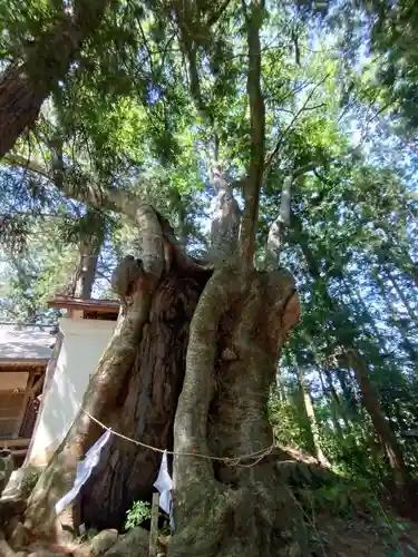 黒沼神社(福島県)