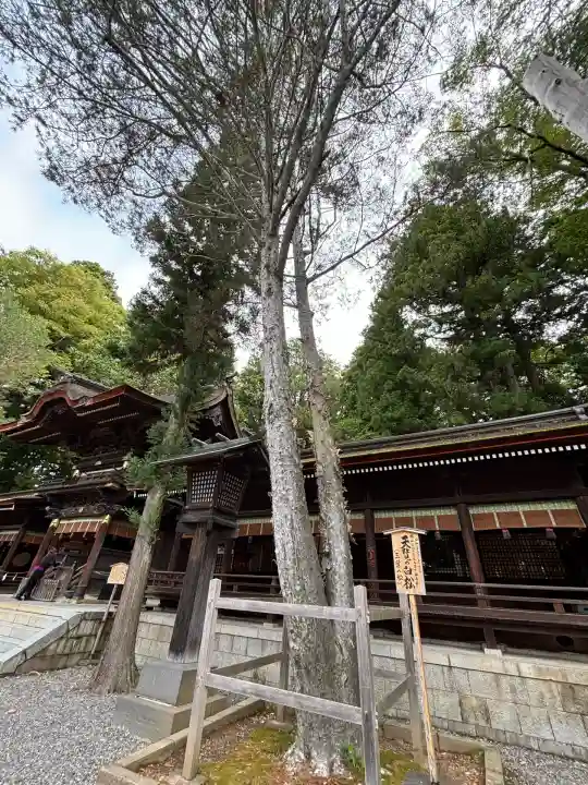 諏訪大社下社秋宮(長野県)