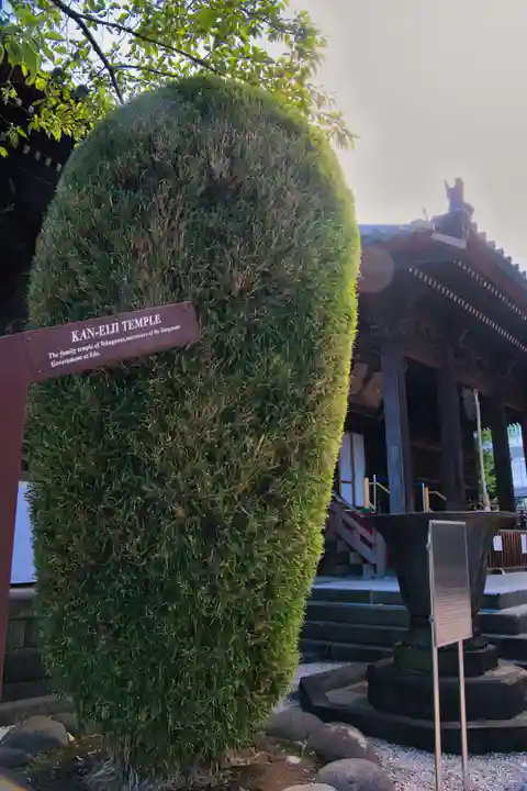 寛永寺(根本中堂)(東京都)