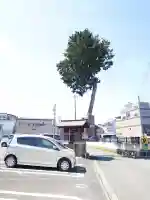 諏訪社の{uncategorized: "未分類", other: "その他", undefined: "問題あり", building: "その他建物", grave: "お墓", sacred_gate: "鳥居", guardian: "狛犬", statue: "像", buddha: "仏像", history: "歴史", nature: "自然", garden: "庭園", animal: "動物", pagoda: "塔", temizu: "手水舎", mountain_gate: "山門・神門", sanctuary: "本殿・本堂", subordinate: "末社・摂社", art: "芸術", scenery: "景色", jizo: "地蔵", ema: "絵馬", goshuin: "御朱印", omikuji: "おみくじ", items: "授与品その他", amulet: "お守り", goshuincho: "御朱印帳", eats: "食事", festival: "お祭り", votive_dance: "神楽", shichigosan: "七五三参", wedding: "結婚式", experience: "体験その他", initially: "初詣", around: "周辺", anti_infection: "感染症対策"}
