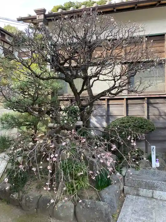 東漸寺(神奈川県)