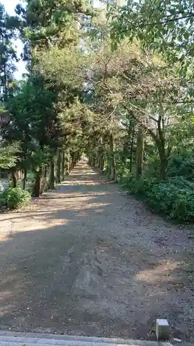 千代ケ岡八幡宮(栃木県)