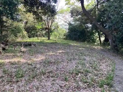 浄光明寺(神奈川県)