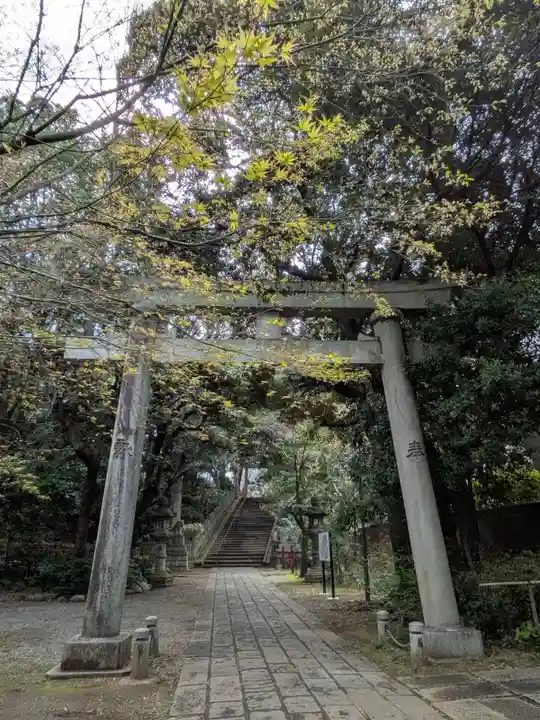 赤坂氷川神社(東京都)