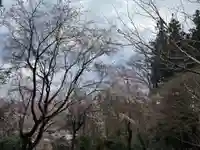 大宮温泉神社(栃木県)