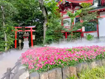 川越八幡宮の{uncategorized: "未分類", other: "その他", undefined: "問題あり", building: "その他建物", grave: "お墓", sacred_gate: "鳥居", guardian: "狛犬", statue: "像", buddha: "仏像", history: "歴史", nature: "自然", garden: "庭園", animal: "動物", pagoda: "塔", temizu: "手水舎", mountain_gate: "山門・神門", sanctuary: "本殿・本堂", subordinate: "末社・摂社", art: "芸術", scenery: "景色", jizo: "地蔵", ema: "絵馬", goshuin: "御朱印", omikuji: "おみくじ", items: "授与品その他", amulet: "お守り", goshuincho: "御朱印帳", eats: "食事", festival: "お祭り", votive_dance: "神楽", shichigosan: "七五三参", wedding: "結婚式", experience: "体験その他", initially: "初詣", around: "周辺", anti_infection: "感染症対策"}