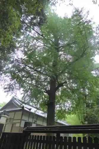 石上神宮の自然