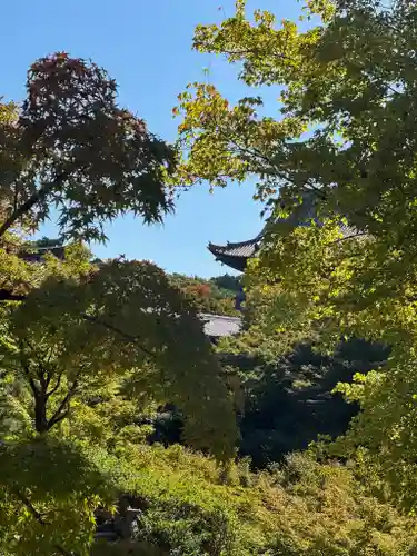 東福禅寺（東福寺）(京都府)
