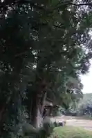 粟鹿神社(兵庫県)