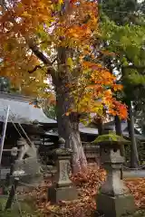 蠶養國神社の自然