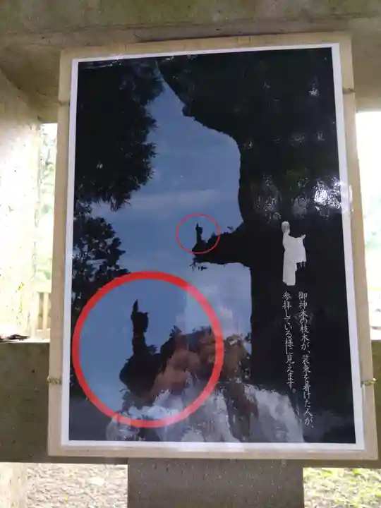 霧島神宮(鹿児島県)