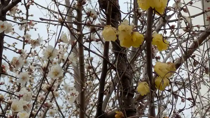 蓮花寺(大阪府)