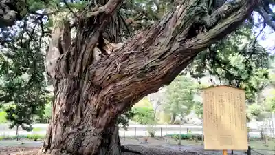 建長寺(神奈川県)