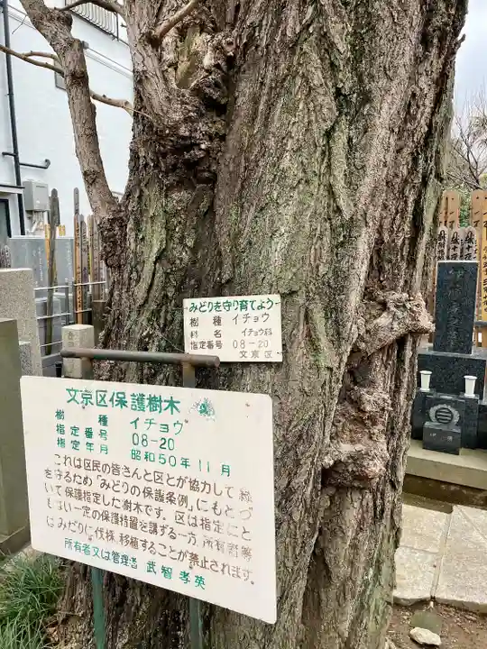 定泉寺(東京都)