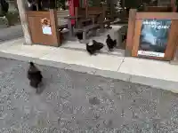 石上神宮の{uncategorized: "未分類", other: "その他", undefined: "問題あり", building: "その他建物", grave: "お墓", sacred_gate: "鳥居", guardian: "狛犬", statue: "像", buddha: "仏像", history: "歴史", nature: "自然", garden: "庭園", animal: "動物", pagoda: "塔", temizu: "手水舎", mountain_gate: "山門・神門", sanctuary: "本殿・本堂", subordinate: "末社・摂社", art: "芸術", scenery: "景色", jizo: "地蔵", ema: "絵馬", goshuin: "御朱印", omikuji: "おみくじ", items: "授与品その他", amulet: "お守り", goshuincho: "御朱印帳", eats: "食事", festival: "お祭り", votive_dance: "神楽", shichigosan: "七五三参", wedding: "結婚式", experience: "体験その他", initially: "初詣", around: "周辺", anti_infection: "感染症対策"}