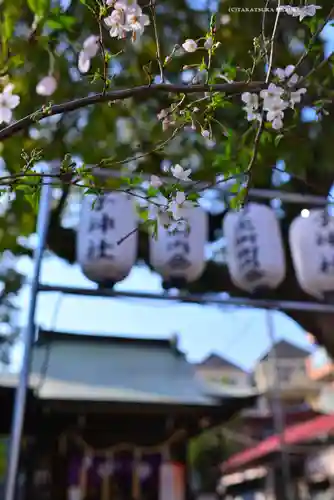 子神社(神奈川県)