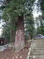 赤瀧神社の{uncategorized: "未分類", other: "その他", undefined: "問題あり", building: "その他建物", grave: "お墓", sacred_gate: "鳥居", guardian: "狛犬", statue: "像", buddha: "仏像", history: "歴史", nature: "自然", garden: "庭園", animal: "動物", pagoda: "塔", temizu: "手水舎", mountain_gate: "山門・神門", sanctuary: "本殿・本堂", subordinate: "末社・摂社", art: "芸術", scenery: "景色", jizo: "地蔵", ema: "絵馬", goshuin: "御朱印", omikuji: "おみくじ", items: "授与品その他", amulet: "お守り", goshuincho: "御朱印帳", eats: "食事", festival: "お祭り", votive_dance: "神楽", shichigosan: "七五三参", wedding: "結婚式", experience: "体験その他", initially: "初詣", around: "周辺", anti_infection: "感染症対策"}