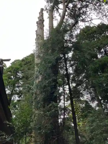 幣立神宮(熊本県)