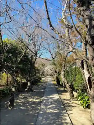 極楽寺（霊鷲山感應院極楽律寺）のその他建物