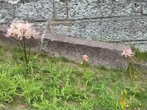 横浜　西方寺の自然